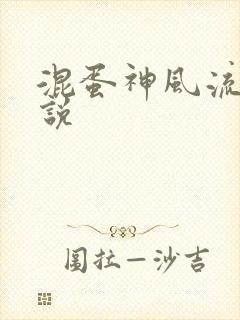 混蛋神风流史小说