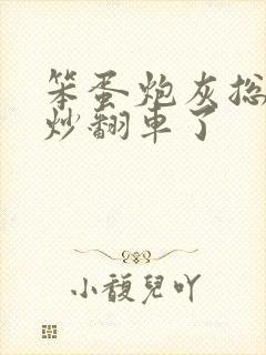 笨蛋炮灰总被爆炒翻车了