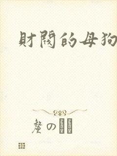 财阀的母狗们