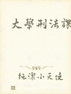 大学刑法课