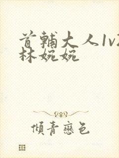 首辅大人1v2林婉婉封面