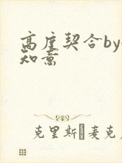 高度契合by洛知意封面