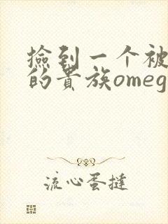 捡到一个被抹布的贵族omega