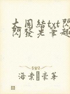 大团结txt闪闪发光笔趣阁封面