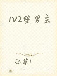 1V2双男主