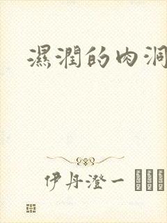 湿润的肉洞