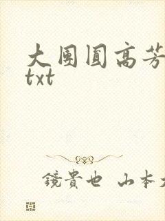 大团圆高芳小说txt