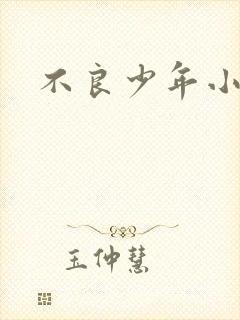 不良少年小说封面