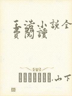 王浩小说全文免费阅读封面