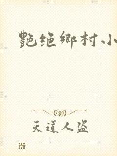 艳绝乡村小说封面