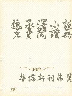 魏承泽小说全文免费阅读无弹窗笔趣