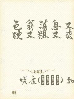 色翁荡息又大又硬又粗又爽小莹