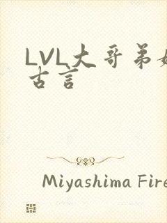 LVL大哥弟媳古言