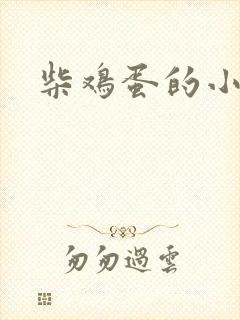柴鸡蛋的小说