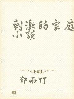 刺激的家庭乱仑小说