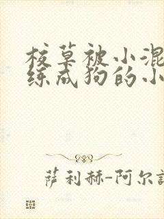 校草被小混混训练成狗的小说