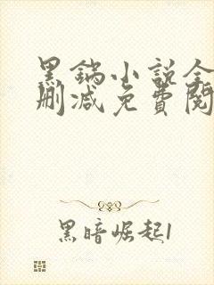 黑锅小说全文无删减免费阅读