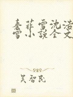 秦菲雪沈浩秦菲雪小说全文免费阅读求书