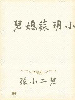 儿媳苏玥小说封面