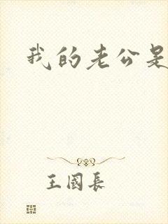 我的老公是冥王