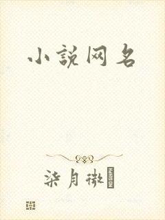 小说网名
