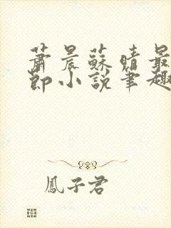 萧晨苏晴最新章节小说笔趣阁