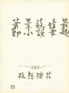 萧晨苏晴最新章节小说笔趣阁