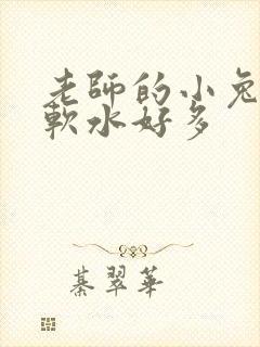 老师的小兔子好软水好多