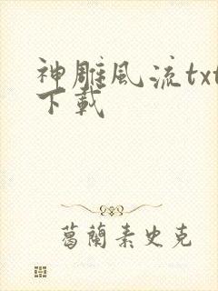 神雕风流txt下载