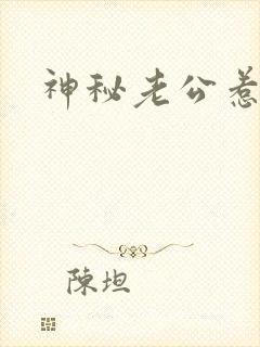 神秘老公惹不起