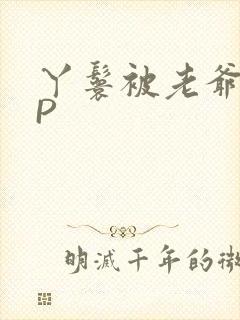 丫鬟被老爷玩NP封面