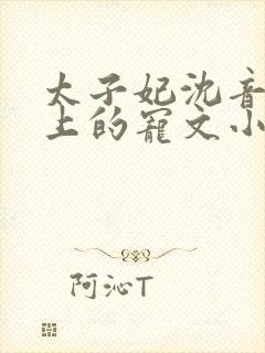 太子妃沈音和皇上的宠文小说