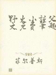 野火小说父女全文免费笔趣阁