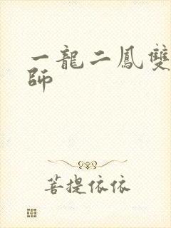 一龙二凤双飞老师
