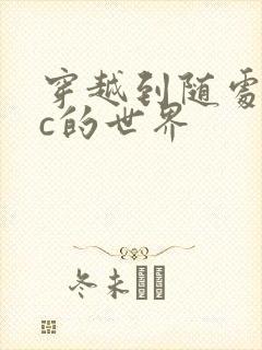 穿越到随处可以c的世界