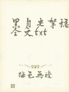 黑月光拿稳小说全文txt