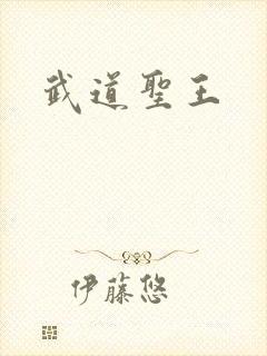 武道圣王