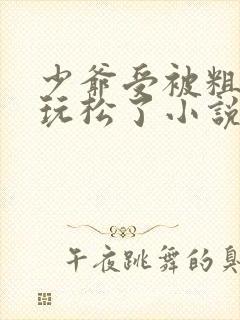 少爷受被粗汉H玩松了小说