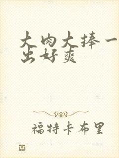 大肉大捧一进一出好爽