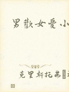 男欢女爱小说