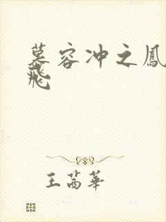 慕容冲之凤凰于飞