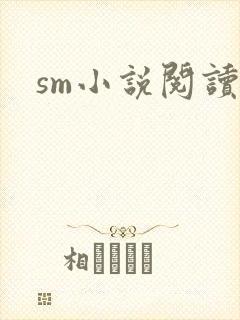 sm小说阅读