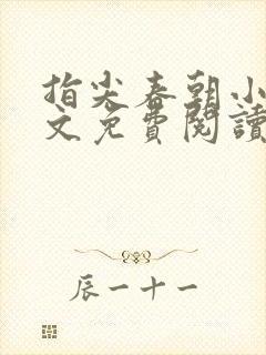 指尖春朝小说全文免费阅读笔趣阁封面