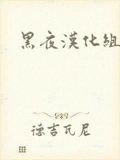 黑夜汉化组