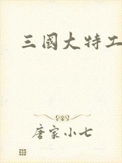 三国大特工