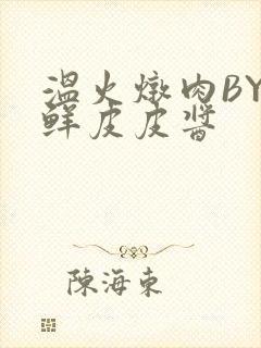 温火炖肉BY海鲜皮皮酱