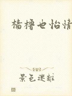 樯橹也怡情封面