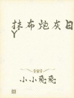 抹布炮灰日记BY封面