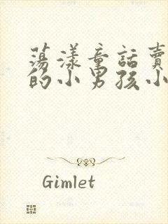 荡漾童话卖火柴的小男孩小说封面