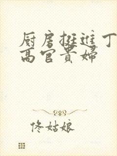 厨房挺进丁字裤高官贵妇封面